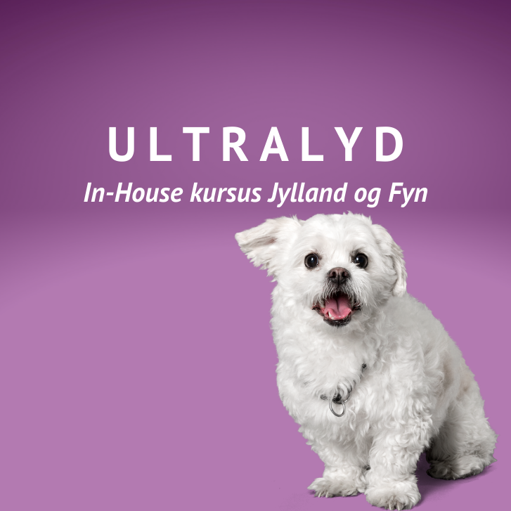 Ultralydskursus in house